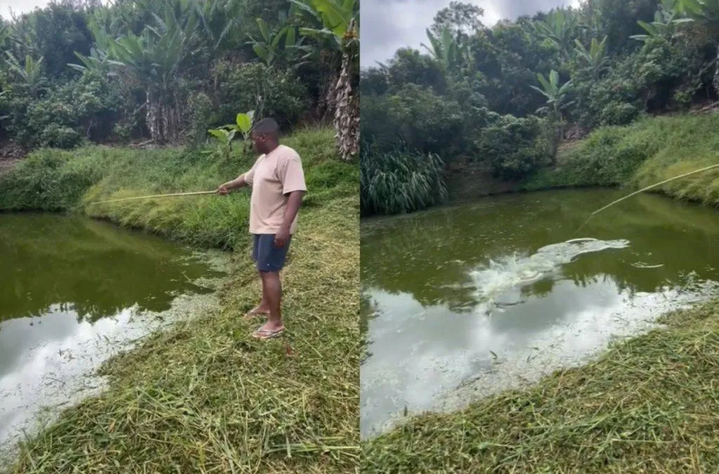 thumb_vissie_vangen_large