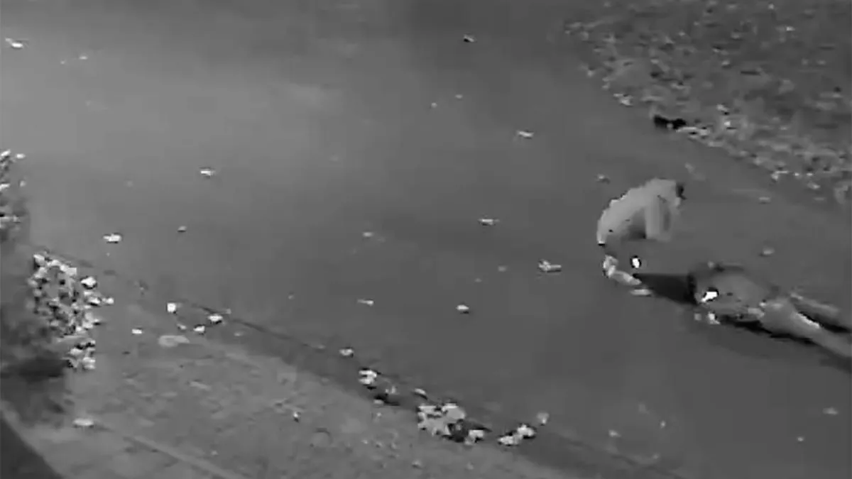 thumb_vk_Boosmaakvideo_uit_Heesch_laat_zien_hoe_man_op_de_grond_wordt_beroofd