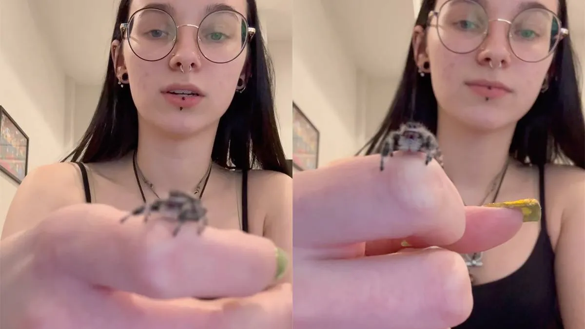 thumb_vk_Deze_springspin_zegt_even_hallo