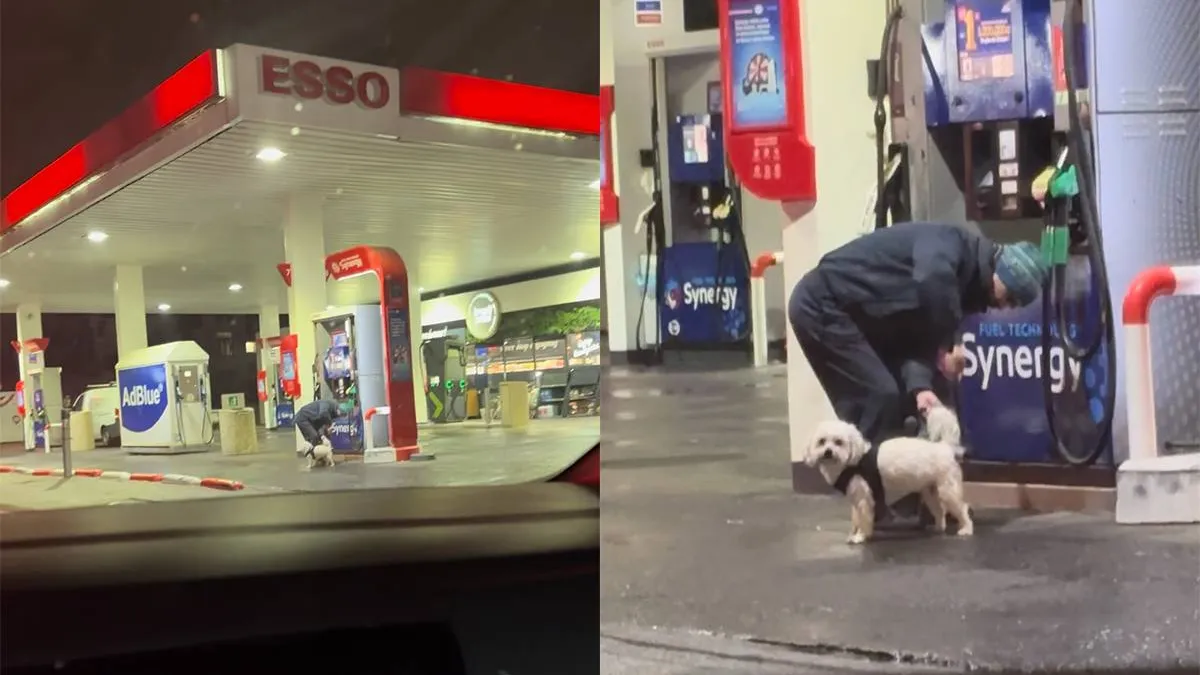 thumb_vk_Hond_krijgt_na_het_uitlaten_een_extra_grondige_wasbeurt