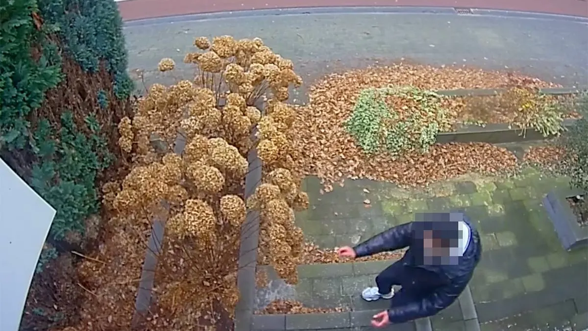 thumb_vk_Pakketje_weg_uit_Ter_Apel_wie_zou_m_gestolen_hebben