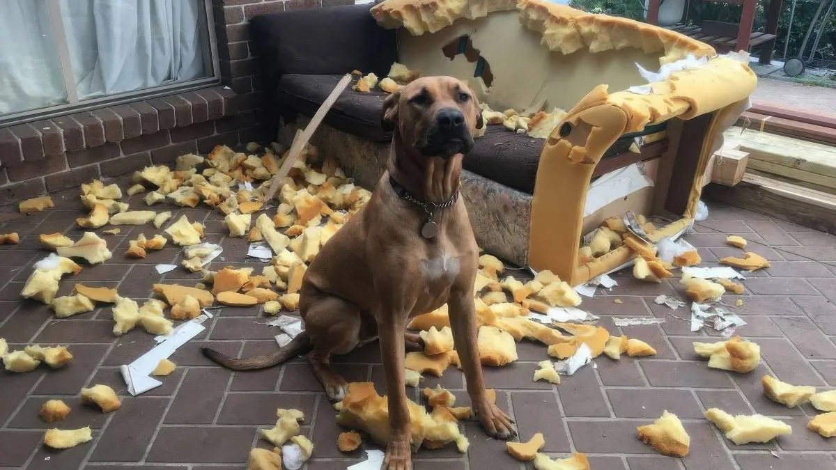 thumb_vk_pix_dump_2169