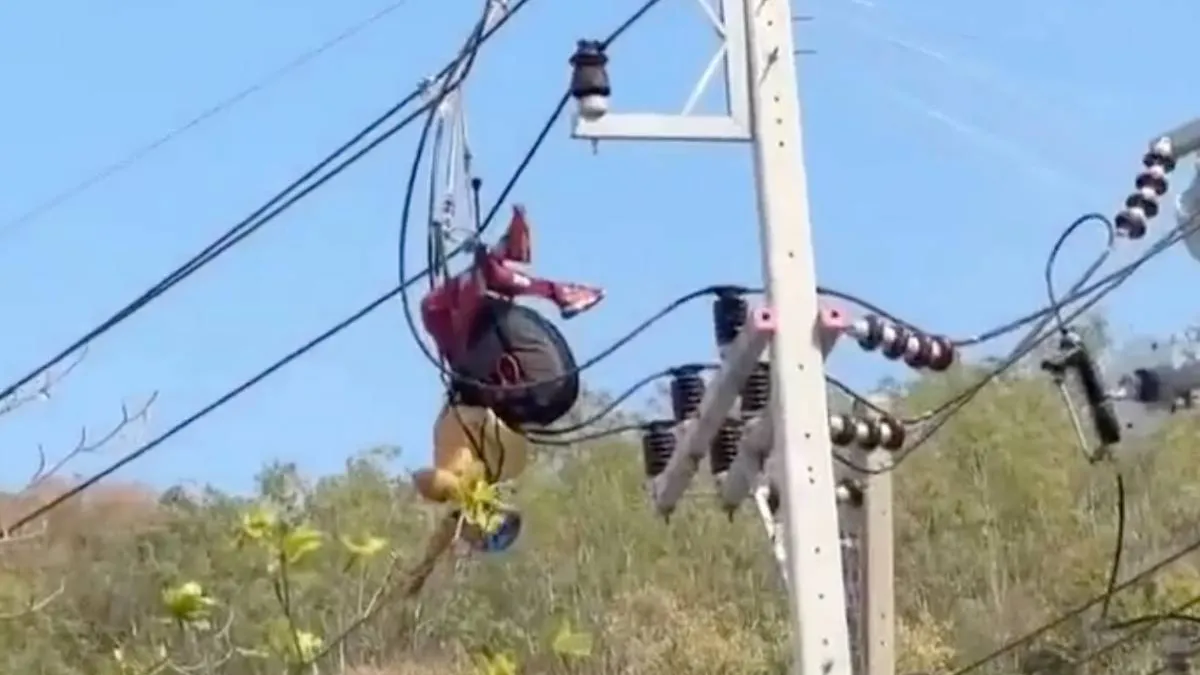 thumb_yankee_in_de_powerlines