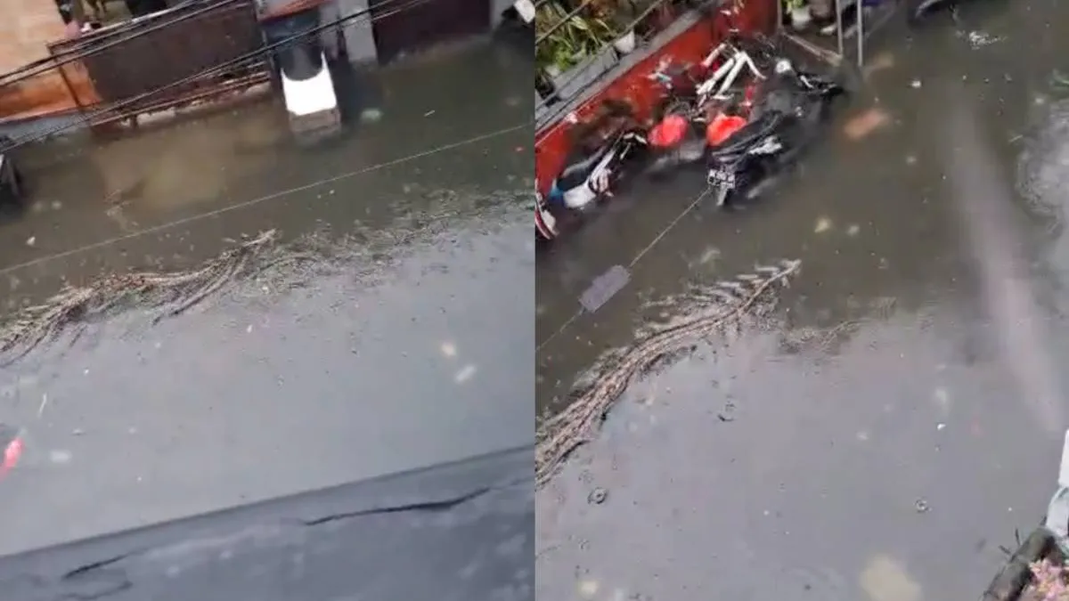 thumb_bali_slang_omg