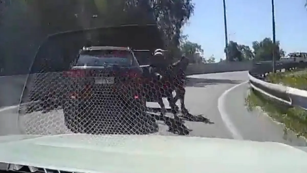 thumb_chiki_carjackers