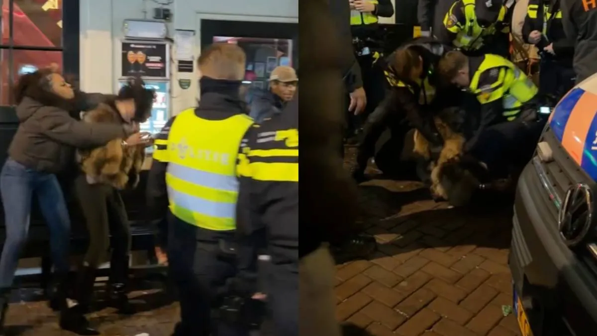 thumb_FAFO_Amsterdam