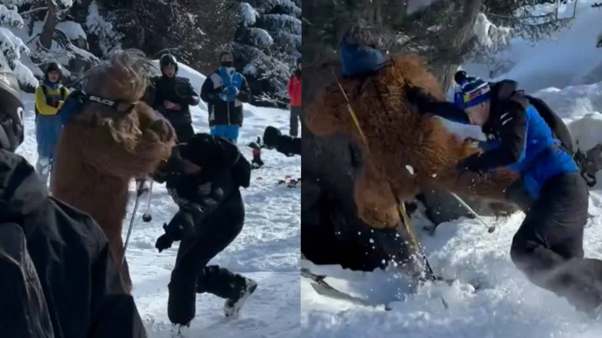 thumb_gekkigheid_piste