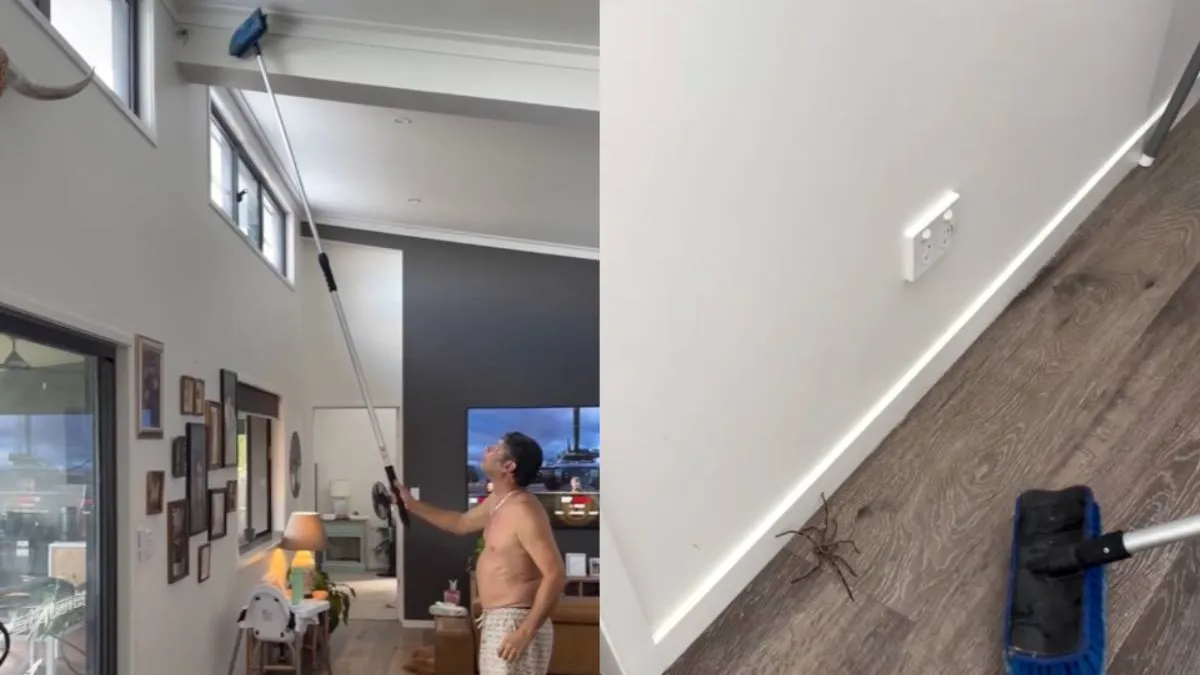 thumb_spinnetje_bob_relax