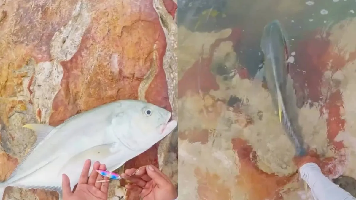 thumb_vissie_vangen_grouper