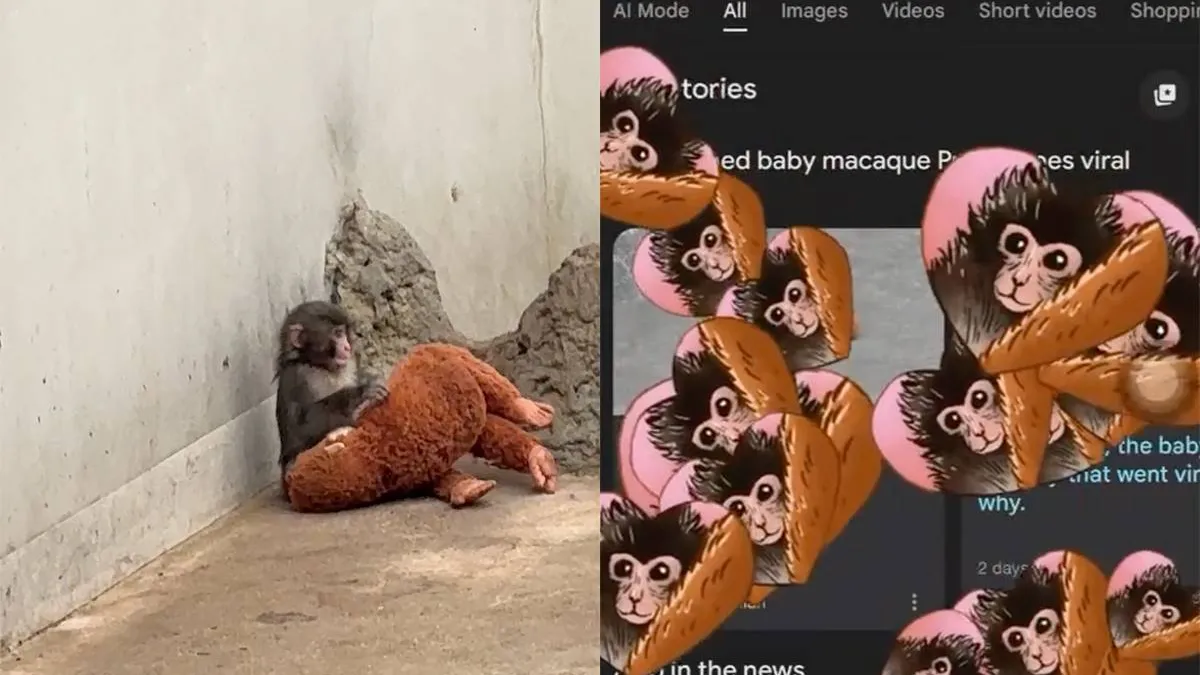 thumb_vk_google_hartjes_regen_punch_monkey