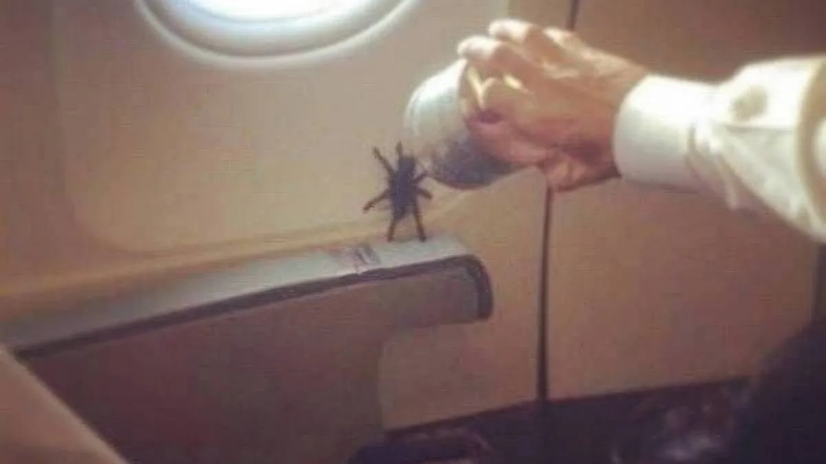 thumb_vk_pix_dump_2185_024