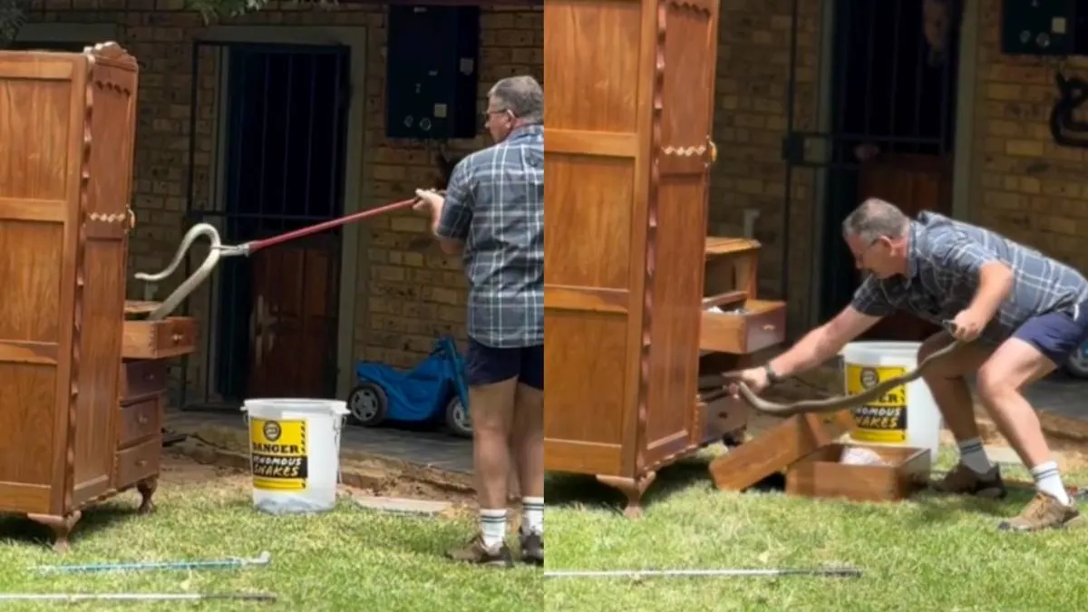 thumb_black_mamba_zuid_afrika