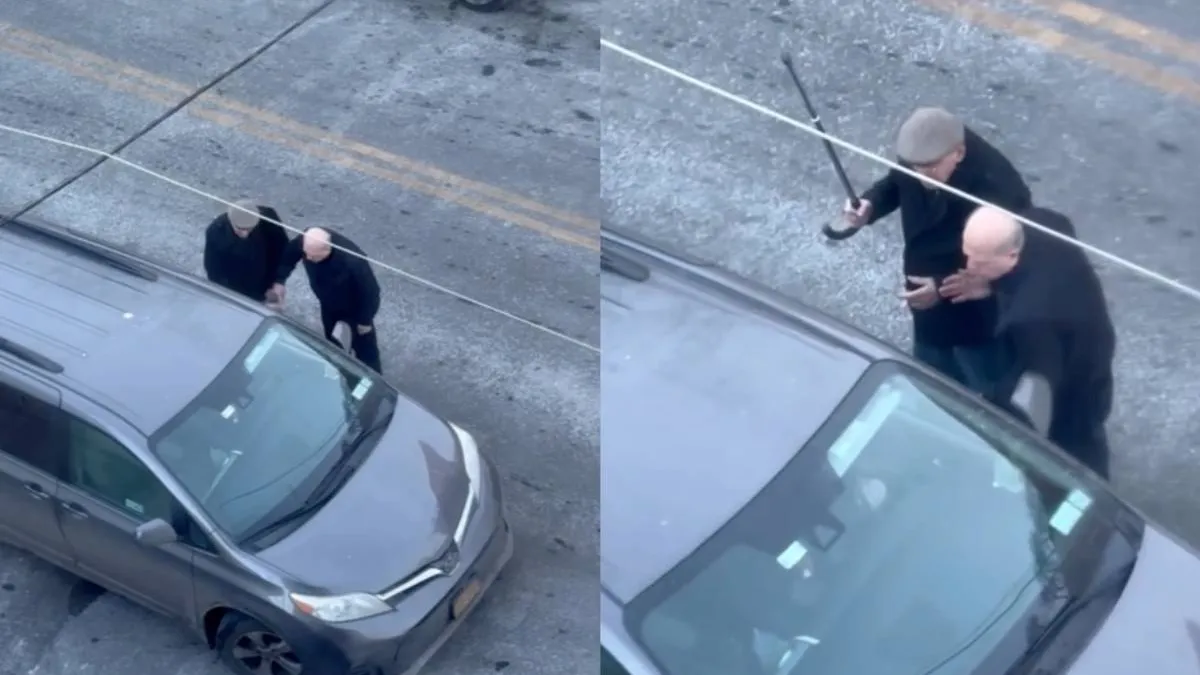 thumb_boze_mannetjes_NY