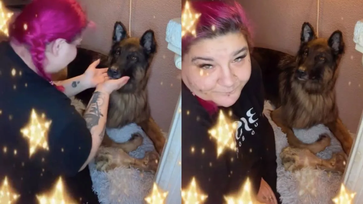 thumb_die_hond_is_dood