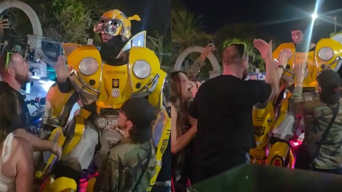 thumb_eenbeen_vs_bumblebee