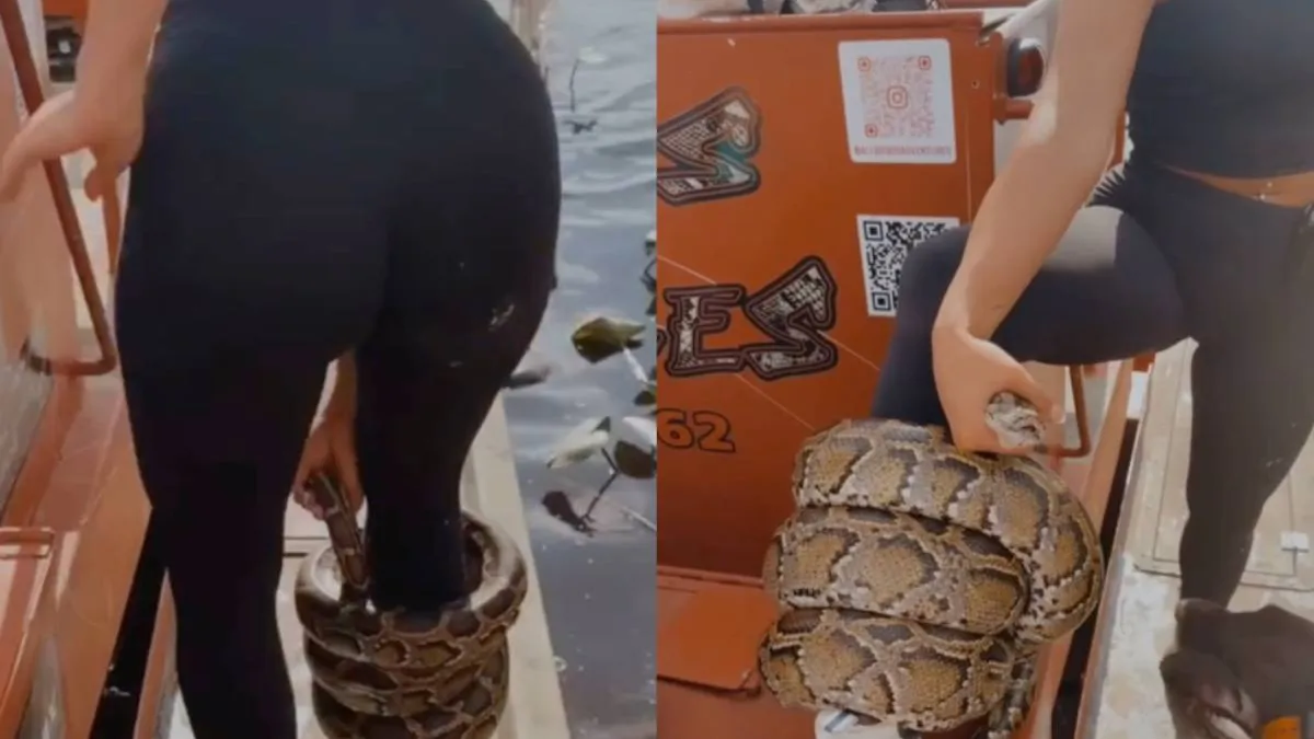 thumb_enkelbandje_python