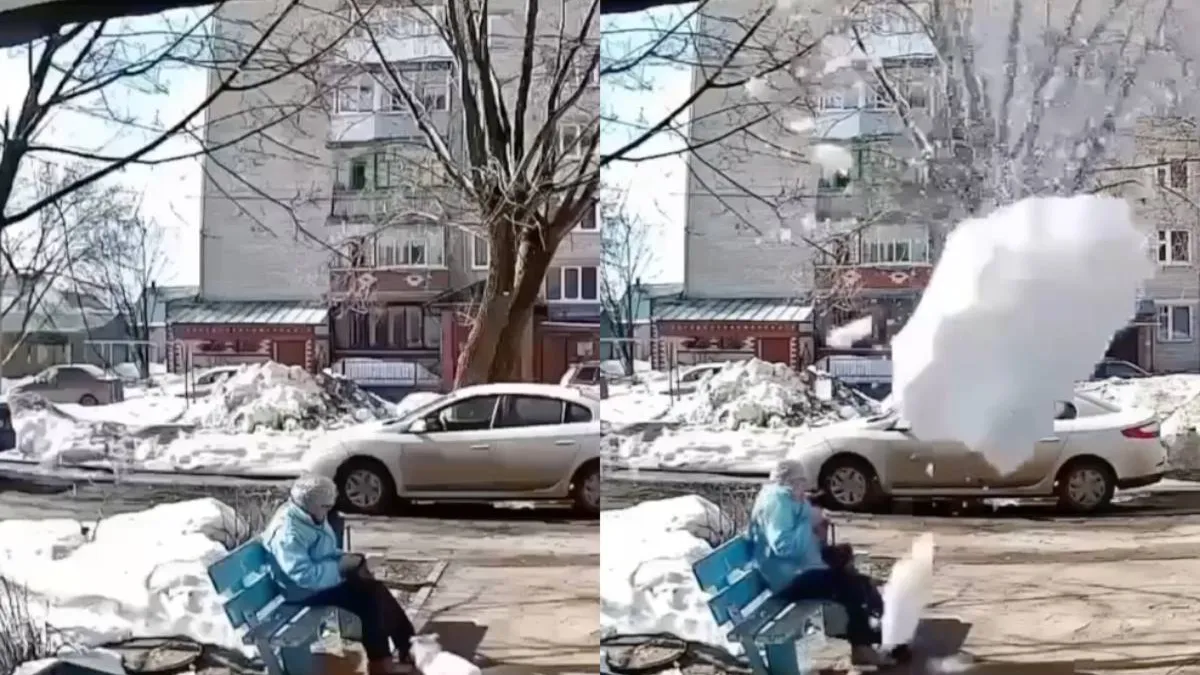 thumb_oma_katten_ijsblok