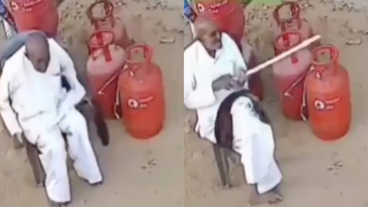 thumb_stier_incoming