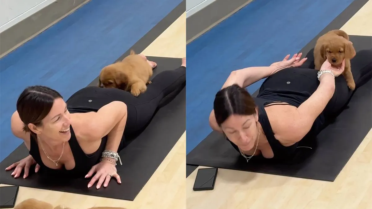 thumb_vk_Hondje_doet_fanatiek_mee_met_yogales