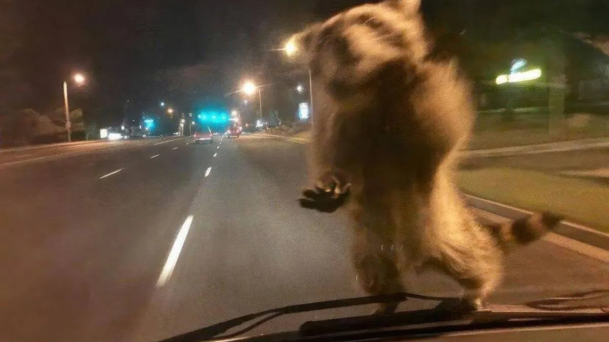 thumb_vk_pix_dump_2198_003