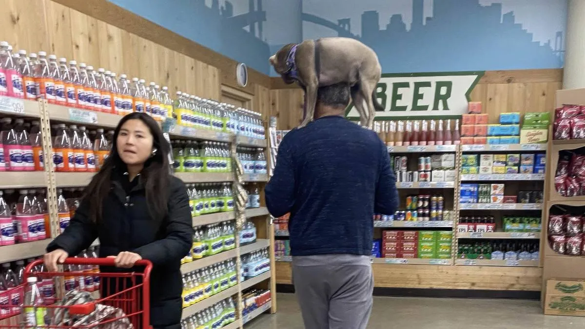 thumb_vk_pix_dump_2203_075