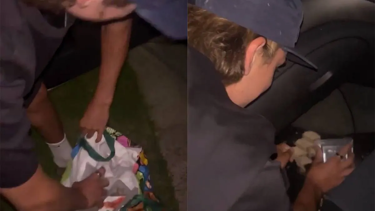 thumb_vk_Vier_dozen_krekels_in_je_auto_dumpen_bij_je_maat