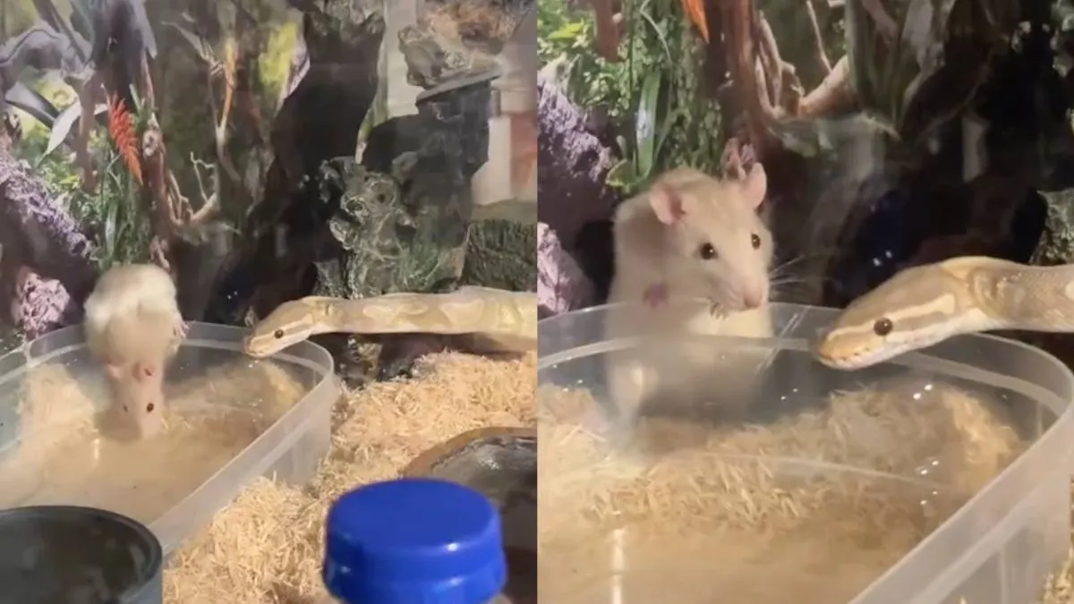 thumb_besties_snack_and_snake