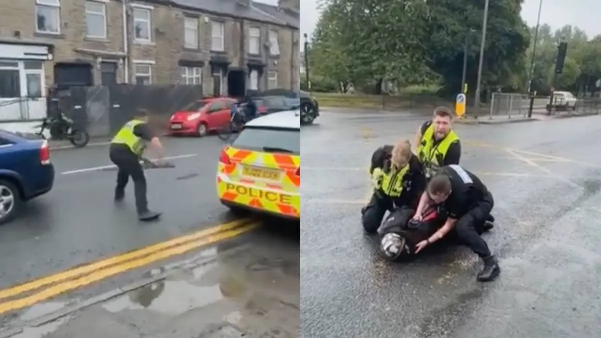 thumb_bradford_madness