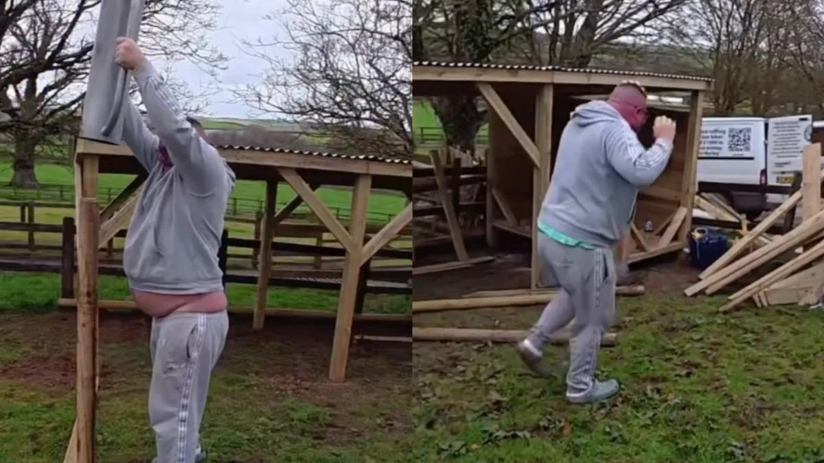 thumb_handige_harry_paal