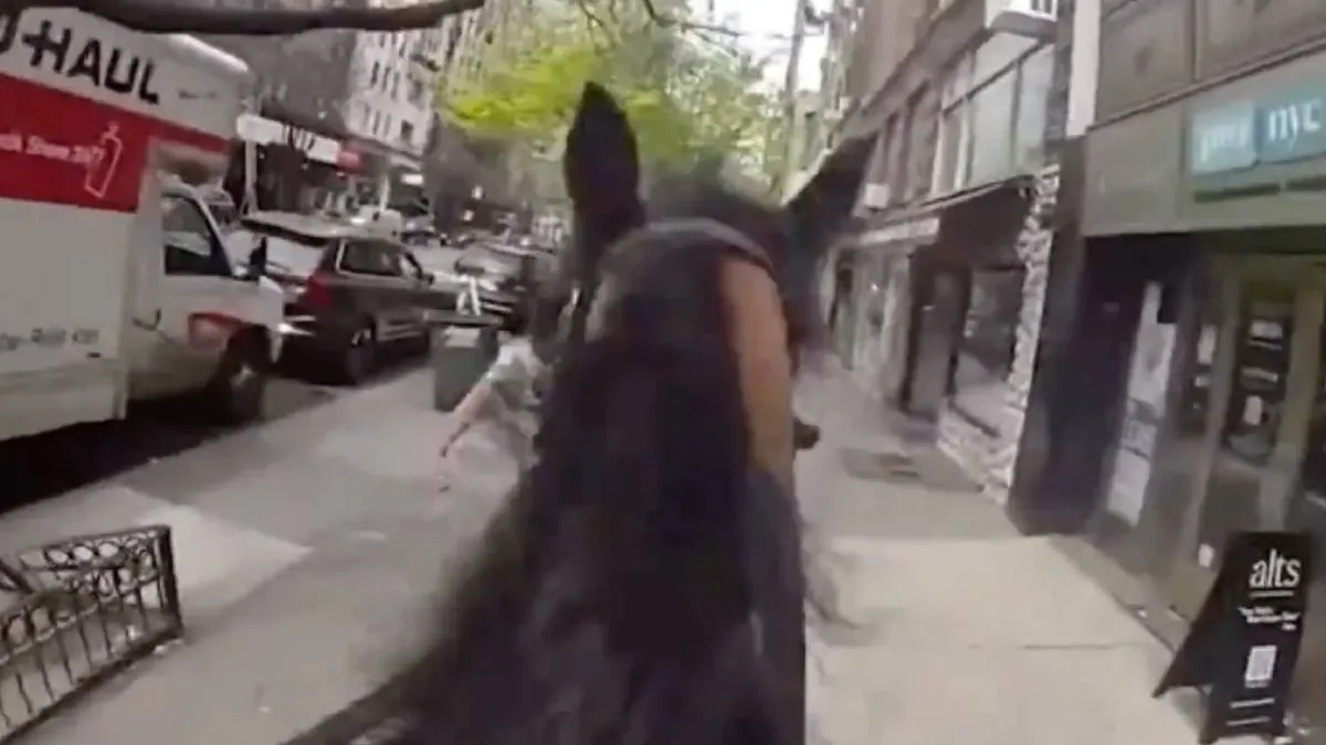 thumb_horsing_around_NYC