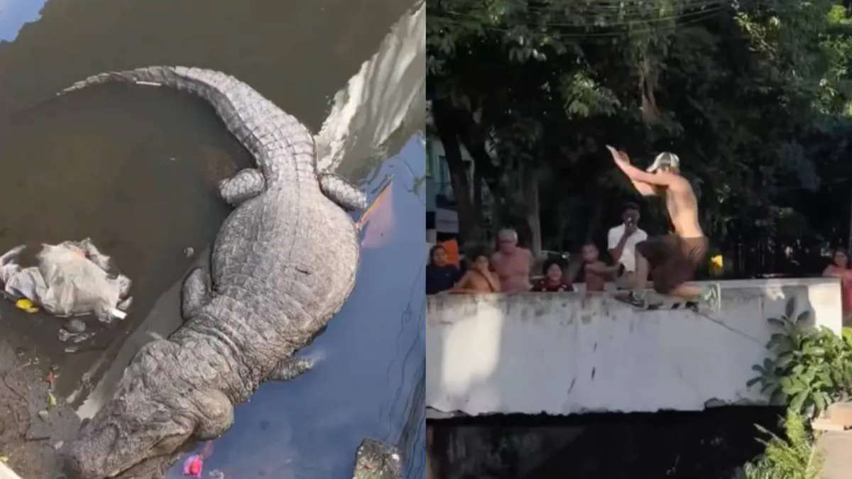 thumb_parkour_met_tanden