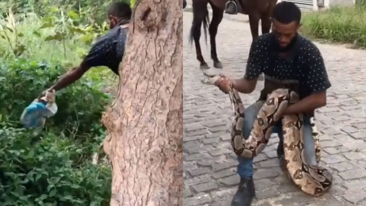 thumb_plastic_zak_techniek