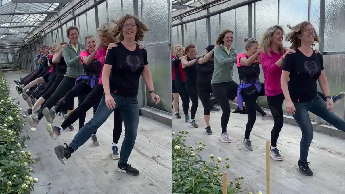 thumb_vk_Dansje_tussen_de_pioenrozen_is_best_vermakelijk