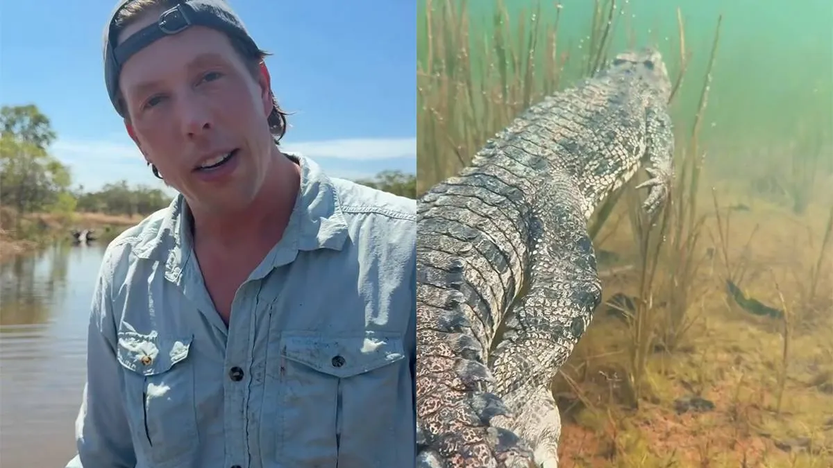 thumb_vk_Freek_Vonk_gebeten_door_krokodil_in_Australie_Gewoon_een_liefdesbeetje