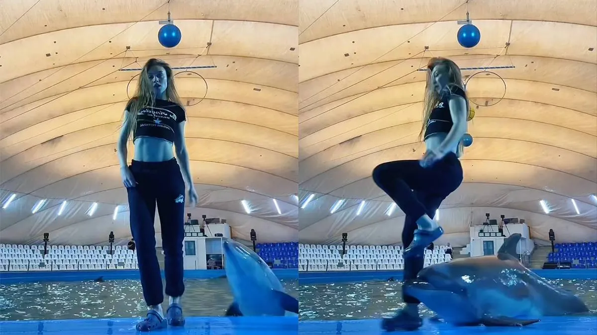 thumb_vk_Lekker_naar_de_dolfijnen_maar_er_is_een_veel_betere_show