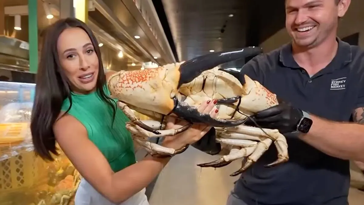 thumb_vk_Live_op_tv_gebeten_door_krab_maar_verslaggever_neemt_keihard_revanche