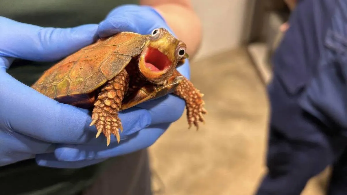 thumb_vk_pix_dump_2214_110