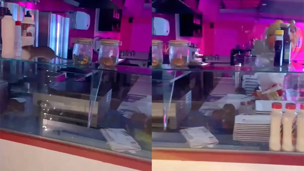 thumb_vk_weer_ratten_amsterdam