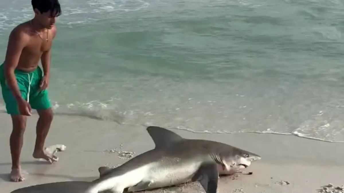 thumb_destin_FL