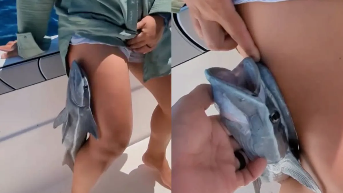 thumb_remora_plakkertje