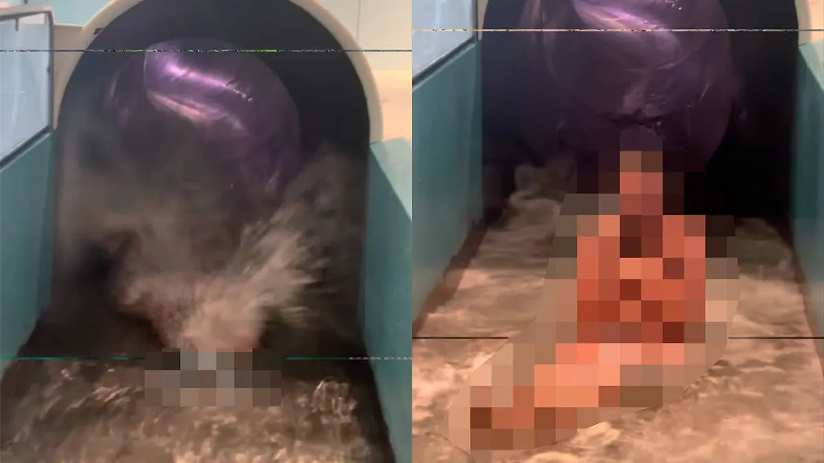 thumb_vk_Alle_mannen_staan_de_hele_dag_op_deze_plek_in_het_waterpark