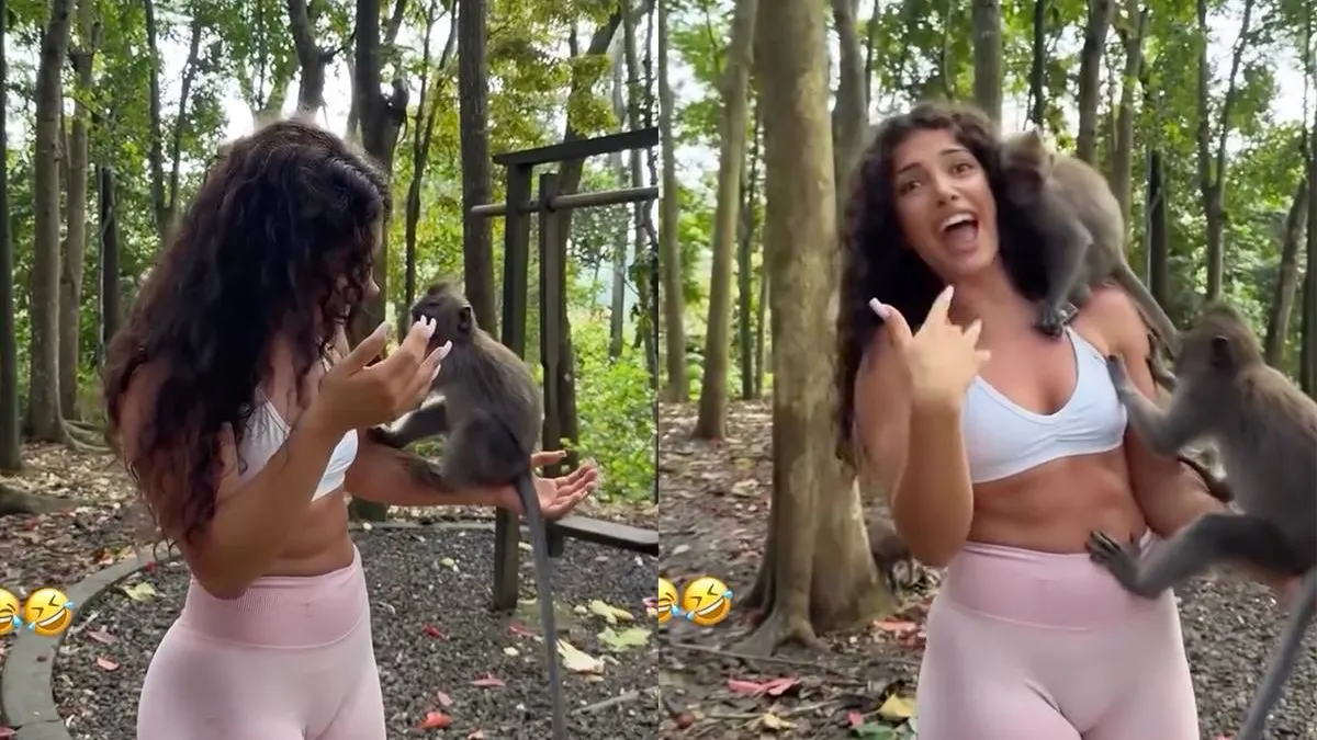 thumb_vk_Monkey_Forest_op_Bali_blijkt_minder_gezellig