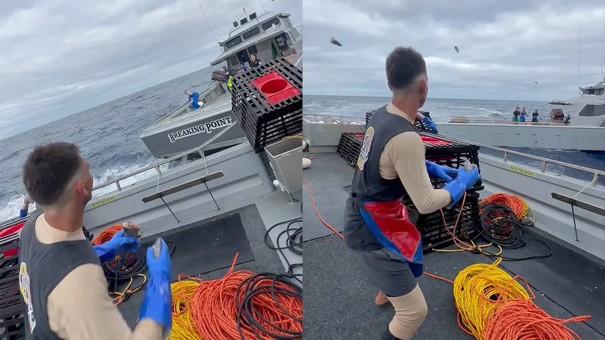 thumb_vk_Visgevecht_op_zee_loopt_uit_de_hand