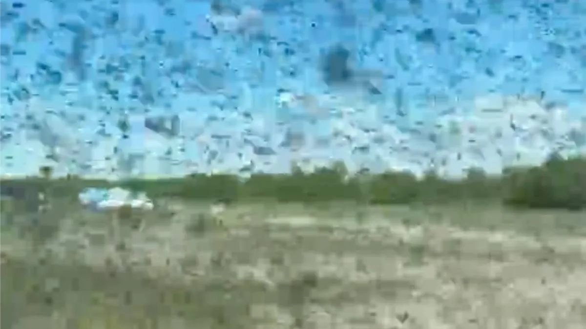 thumb_muggen_muggen 2026-06-08 om 09.16.44