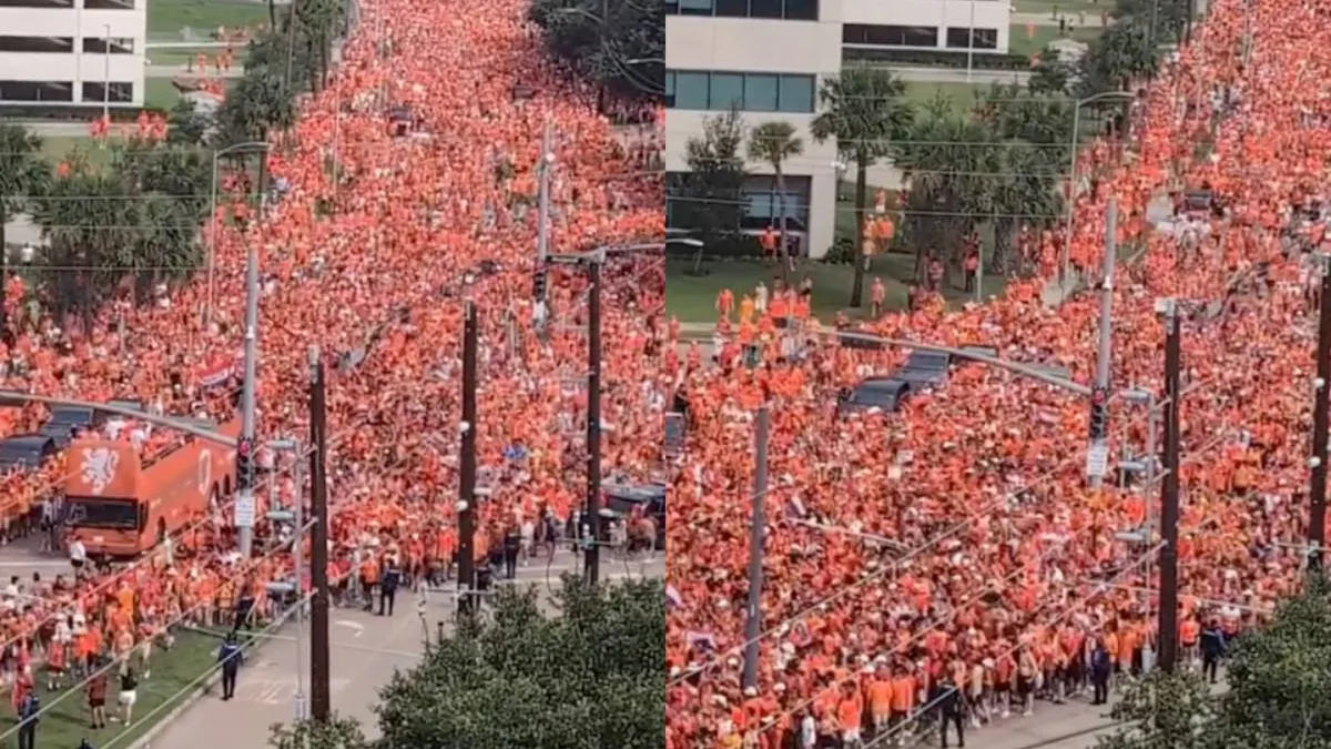 thumb_rtl_oranje