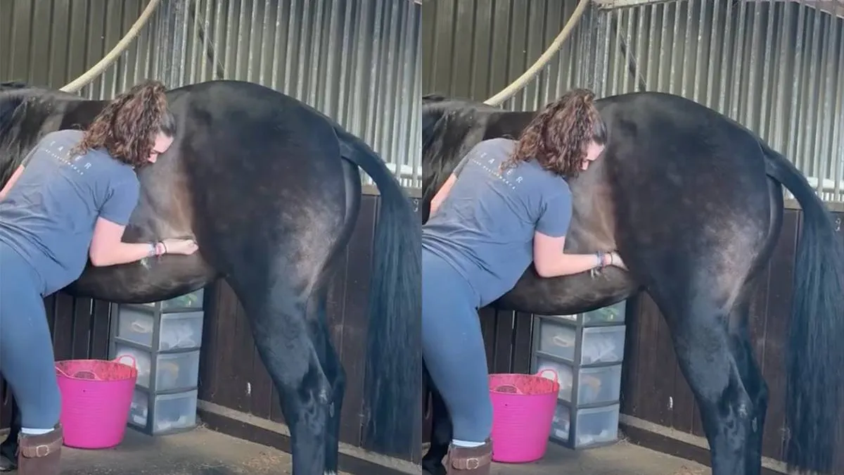thumb_vk_Paard_heeft_jeuk_daar_weet_de_verzorgster_een_oplossing_voor