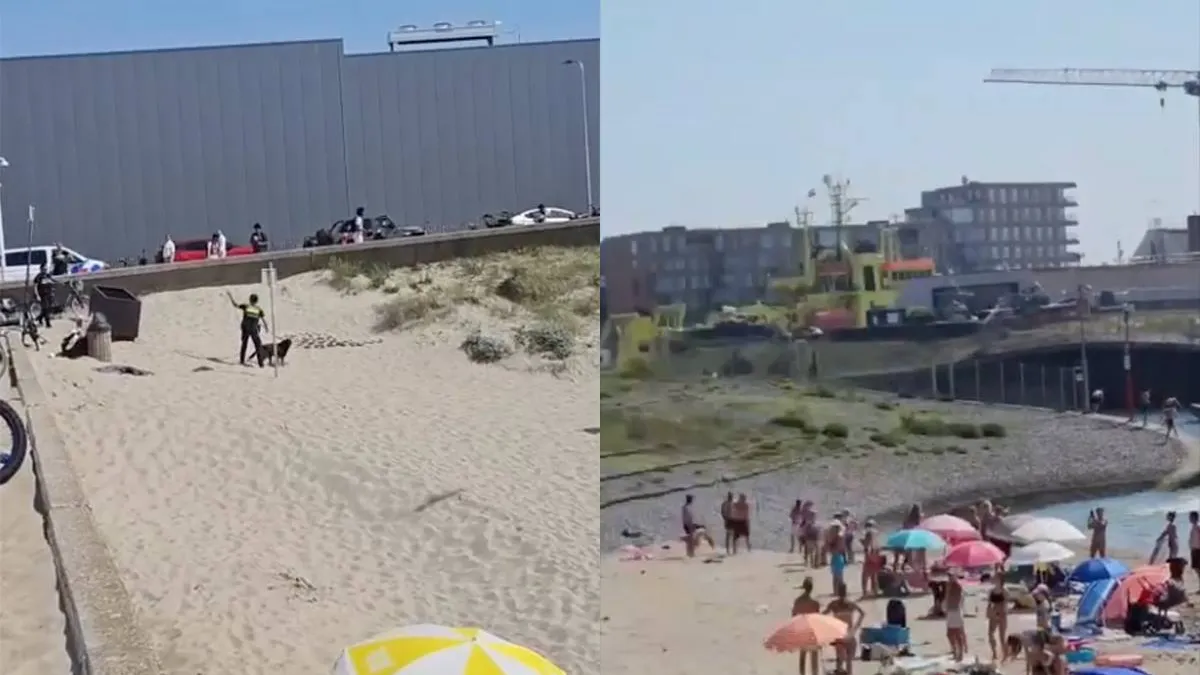 thumb_vk_scheveningen_bang_hond_politie