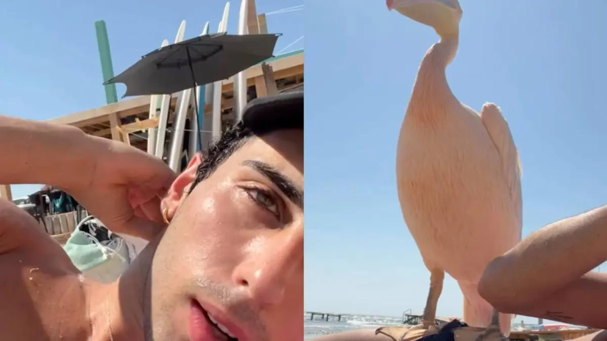 thumb_aanbidder_op_strand