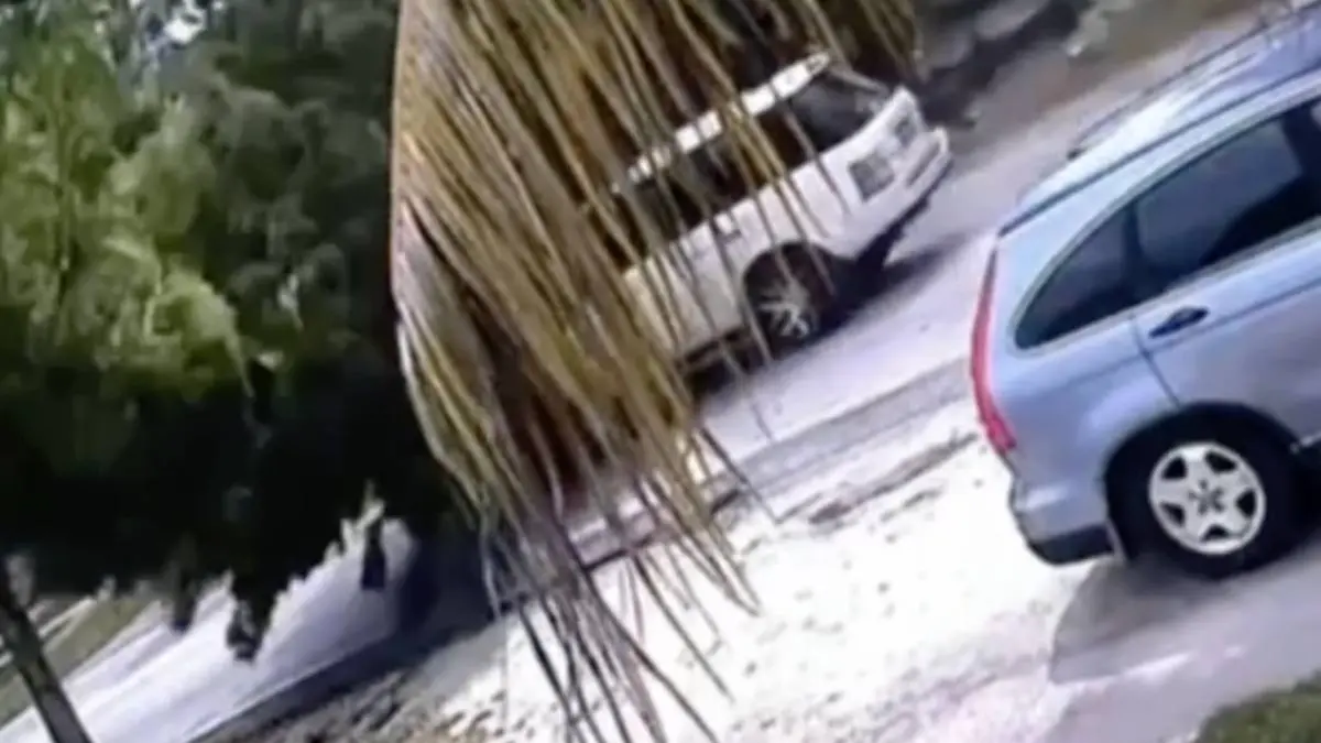 thumb_FD_florida