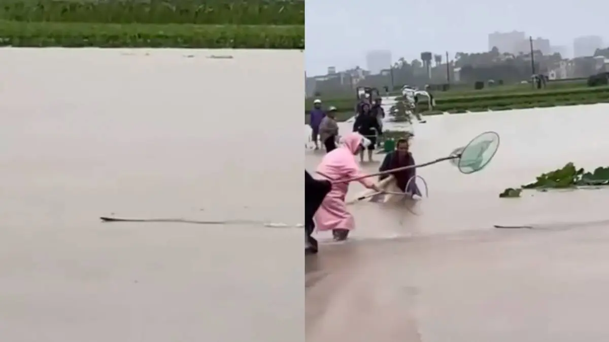 thumb_mooi_niet_vietnam